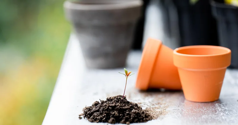 Semrush et les outils spécialisés : utiles, mais pas indispensables